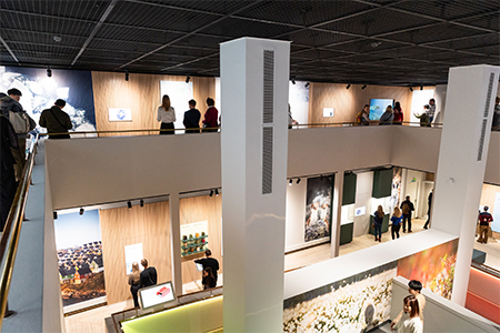 Arktikum-valoisa-puoli.jpg