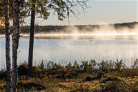 Tapahtumakuva_Toivo Vitikka_550x367_uutiskuva_vanhat verkkosivut.png