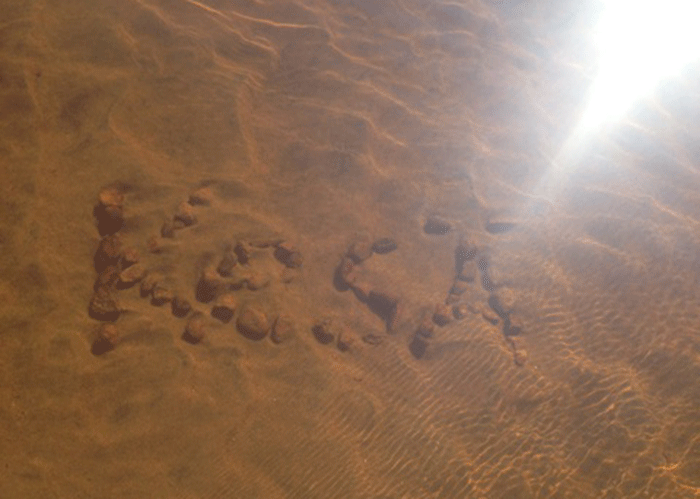 Marjo-blog-Luonuasaari_kesä.gif