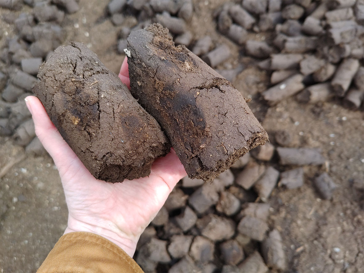 NPE-blogi-Hanna-peat-bog-3i.jpg