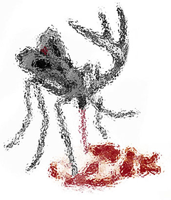 AAA-mosquito-vola-NPE-blog.jpg