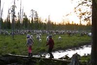 Kaksi pientä tyttöä metsämaisemassa porojen luona vasanleikossa. 