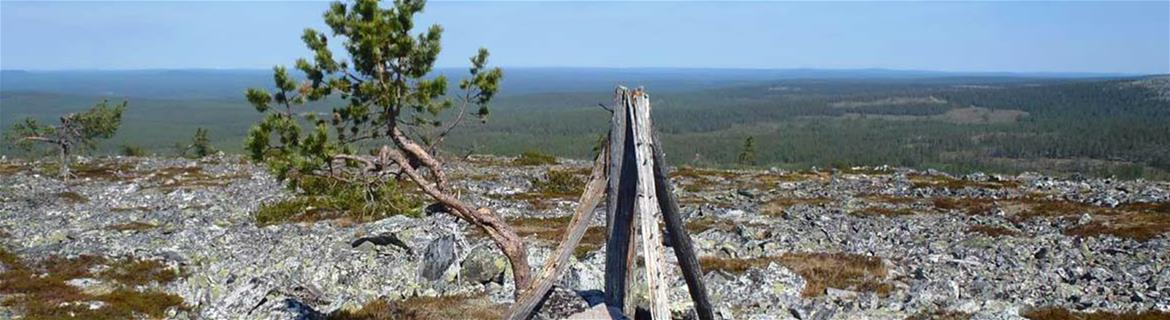 Työryhmä