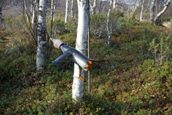 npe-blog-terhi-+-joonas-fieldwork-2.jpg