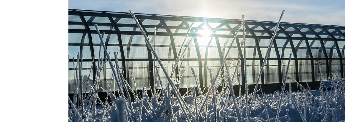 Arktikum Science Centre  tells the story of the North