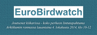 pienibirdwatch_pieni.jpg