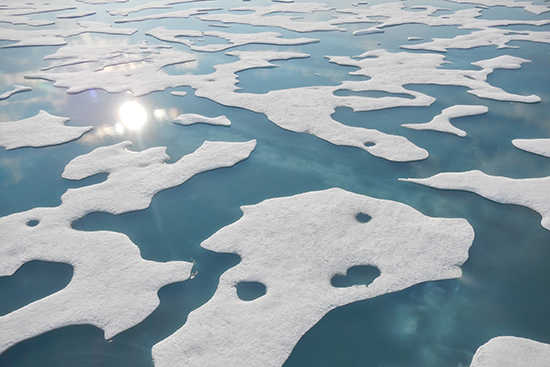 Arctic Sea Ice
