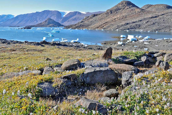 ArcticTundra_AnneBjörkman_www.jpg