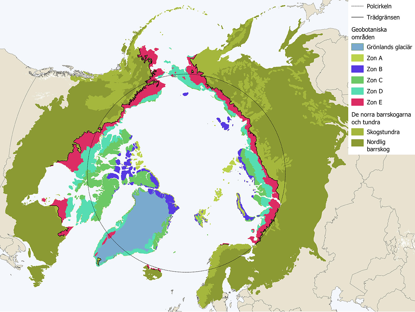 Karta över geobotaniska områden i den arktiska regionen