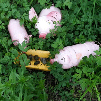 Hanna-Apatity-photo-7.gif
