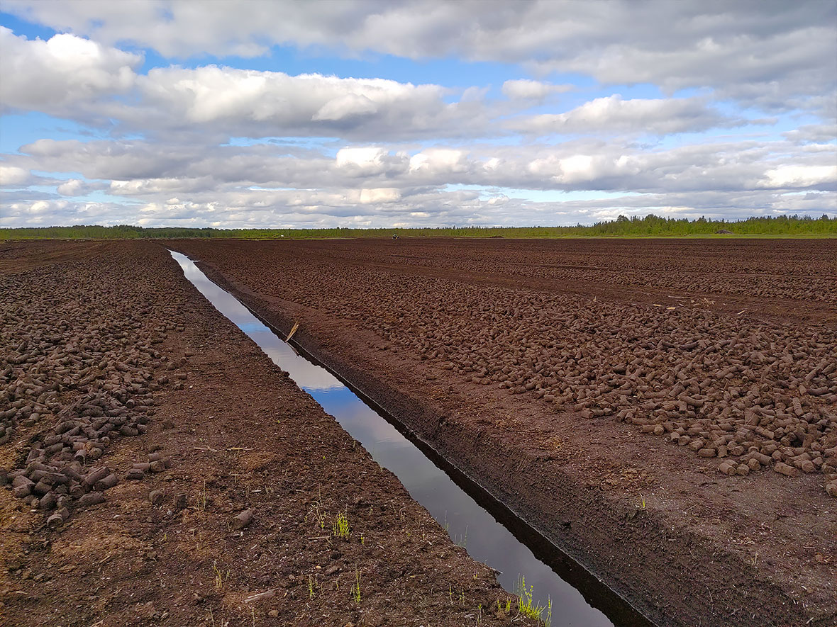 NPE-blogi-Hanna-peat-bog-2.jpg
