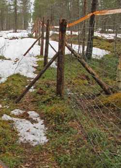 aita-spring-web.jpg