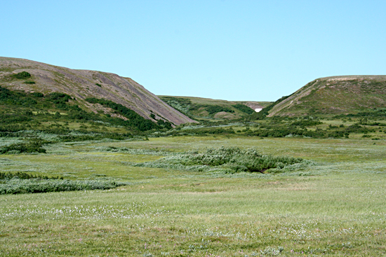 tundra_metsittyy_2_weblaatu.jpg