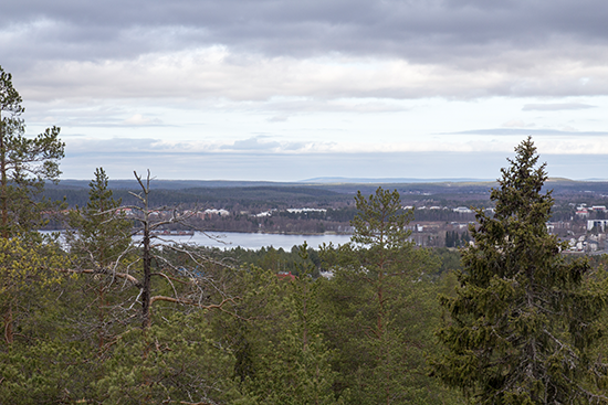 6.6. Luontopaneeli Risto Viitanen_IMG_8474.png