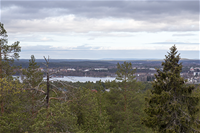 6.6. Luontopaneeli Risto Viitanen_IMG_8474.png