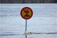 Uutiskuva_IlonaMettiainenDSC_1284_550x367.jpg