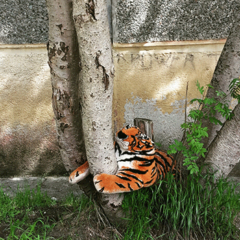 Hanna-Apatity-photo-1.gif