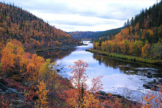 Kakslauttanen_autumncolours_Visit Finland.jpg
