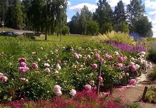blogi2018-Monica-landscape.jpg