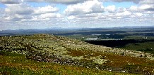 Kuva: J. Jokimäki
