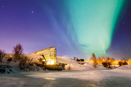 Arktikum550x367.jpg