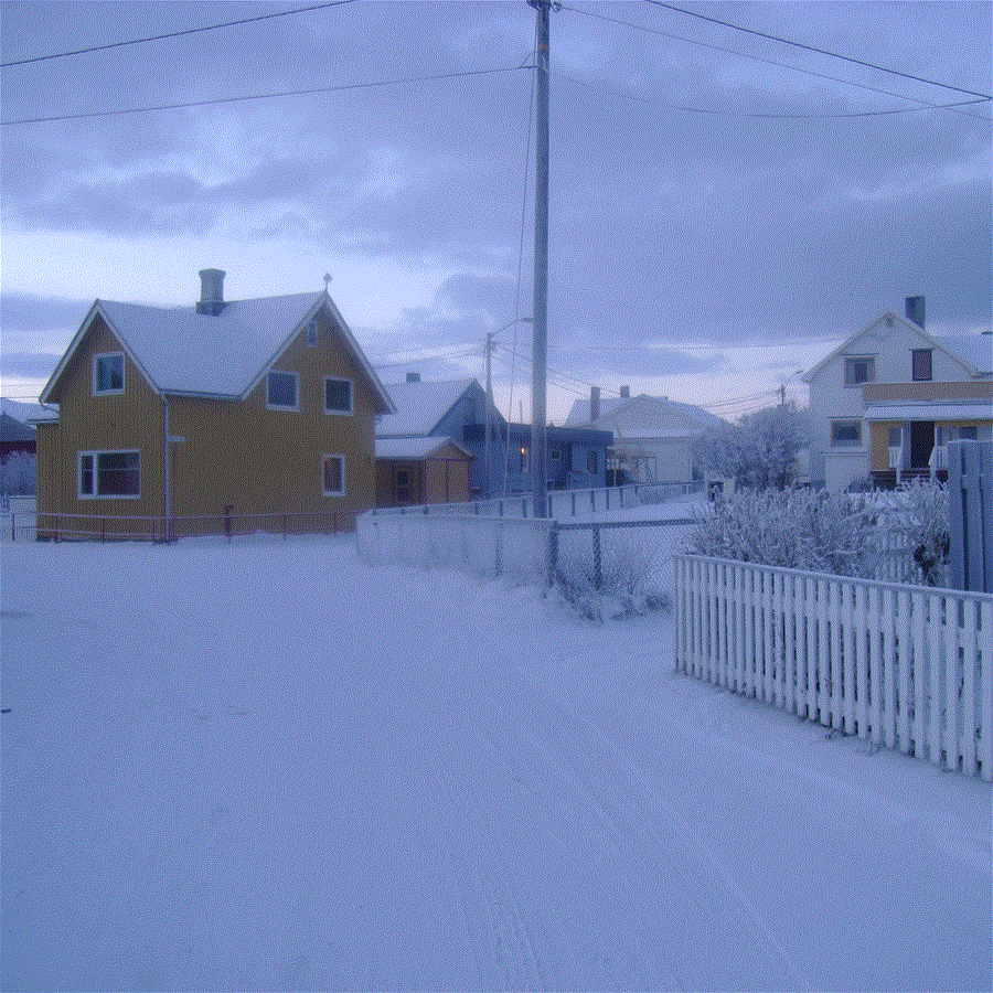 Bugoynes NPE blog-5.gif