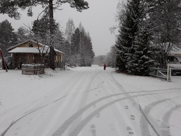 the first snowfall.jpg