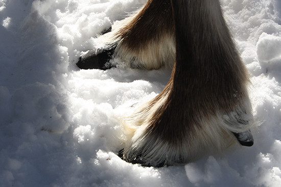 IMG_kuvaMinnaTurunen_550x367.jpg
