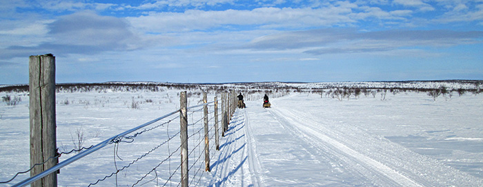 poroaita-web-IMG_0240.jpg