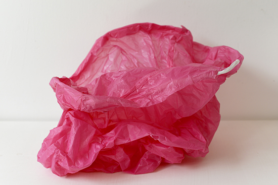 Plastic Bag_web.jpg