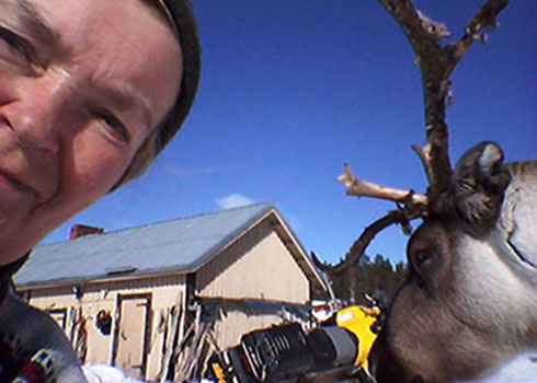 Terhi Reindeer Photos 1.jpg