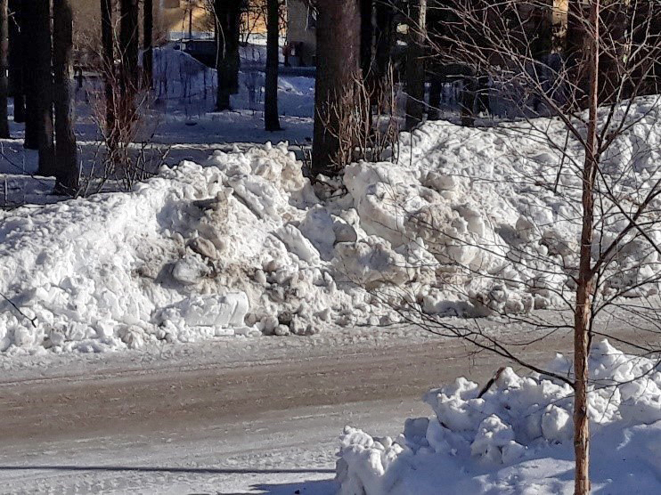 melting snow on the side of the road.jpg
