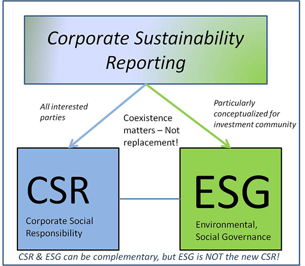 Adrian-Braun-CSR-ESG-2022.jpg