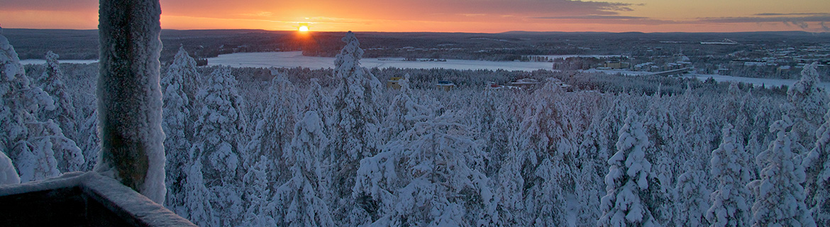 Arktinen-kutsuu