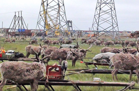 Arctic-Region-Indig-Porot_Bruce.jpg