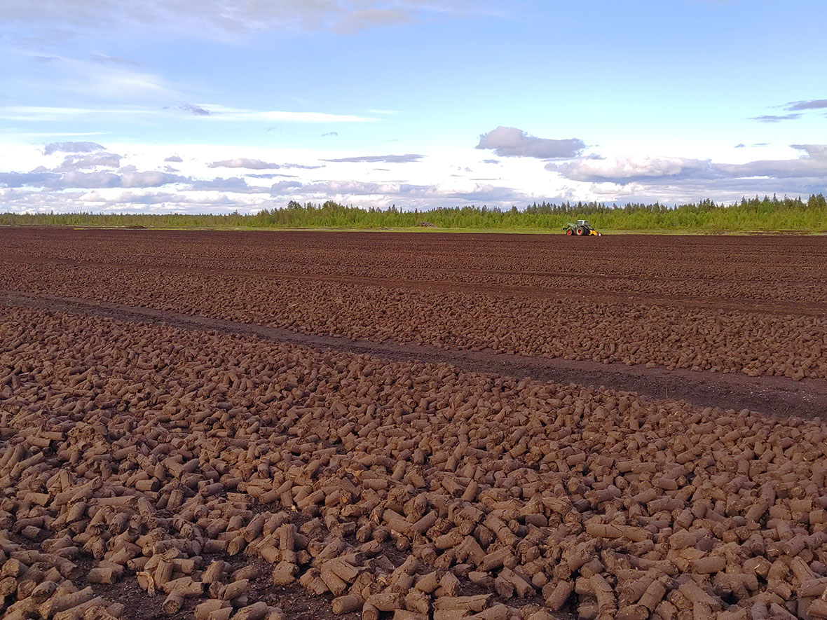 NPE-blogi-Hanna-peat-bog-1.jpg
