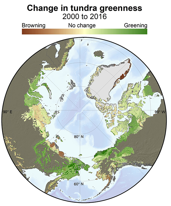 Pic_Tundra greenness_Bruce_550x662.jpg
